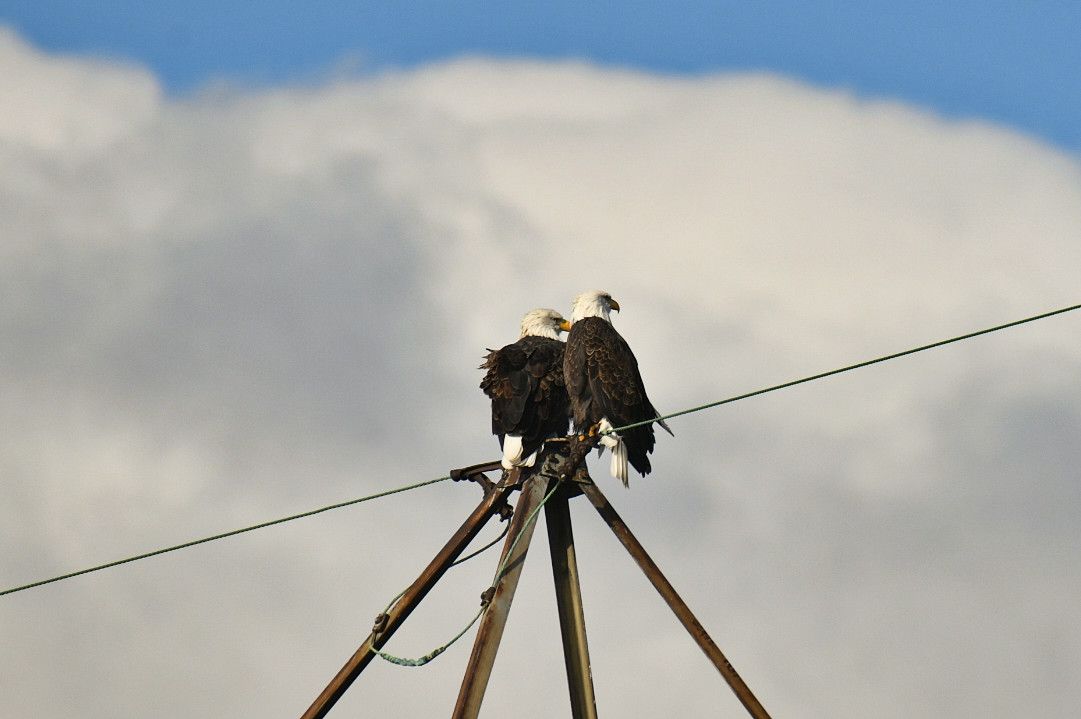 Community photo by Lorraine