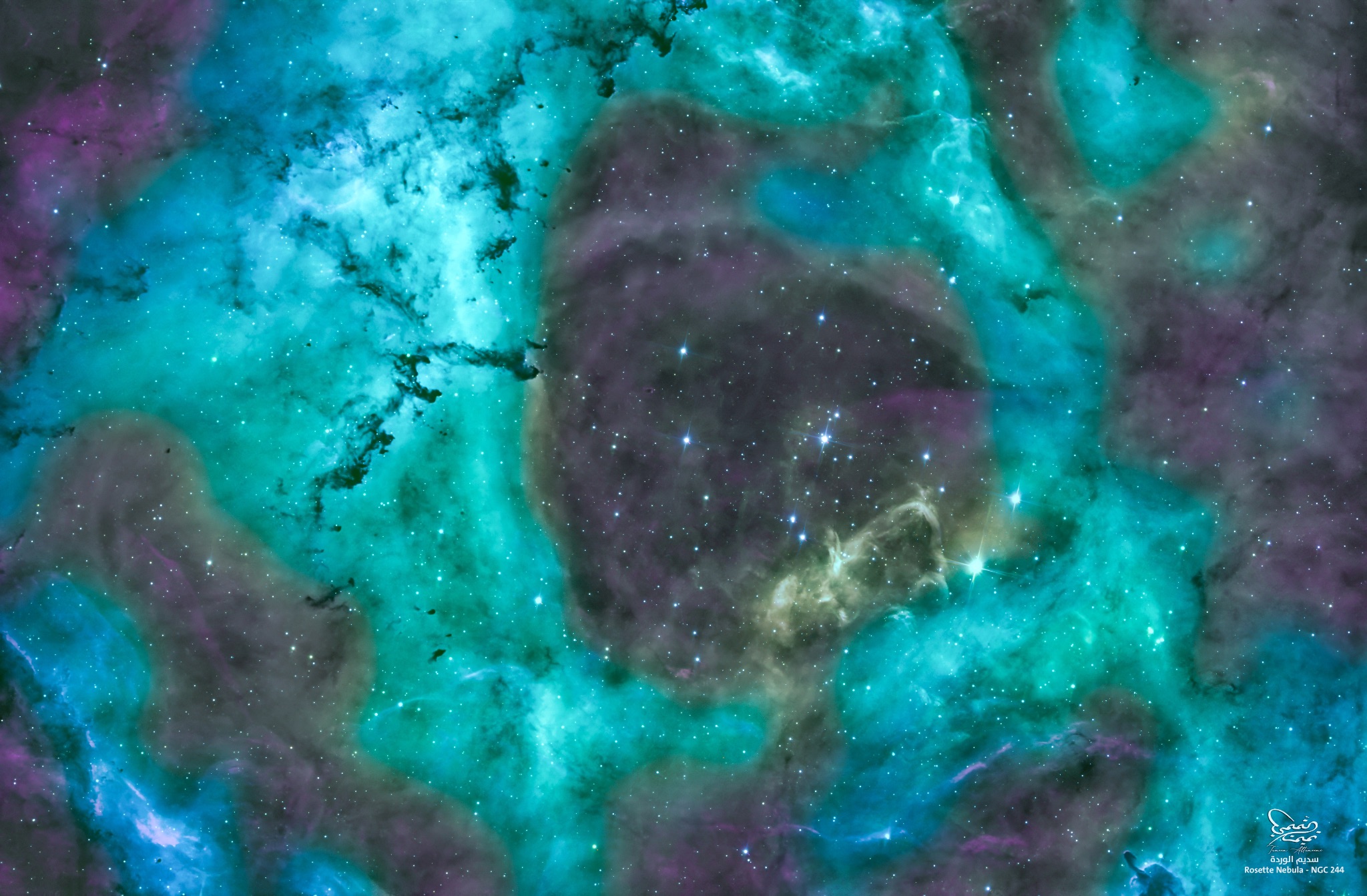 Community photo by Tameem