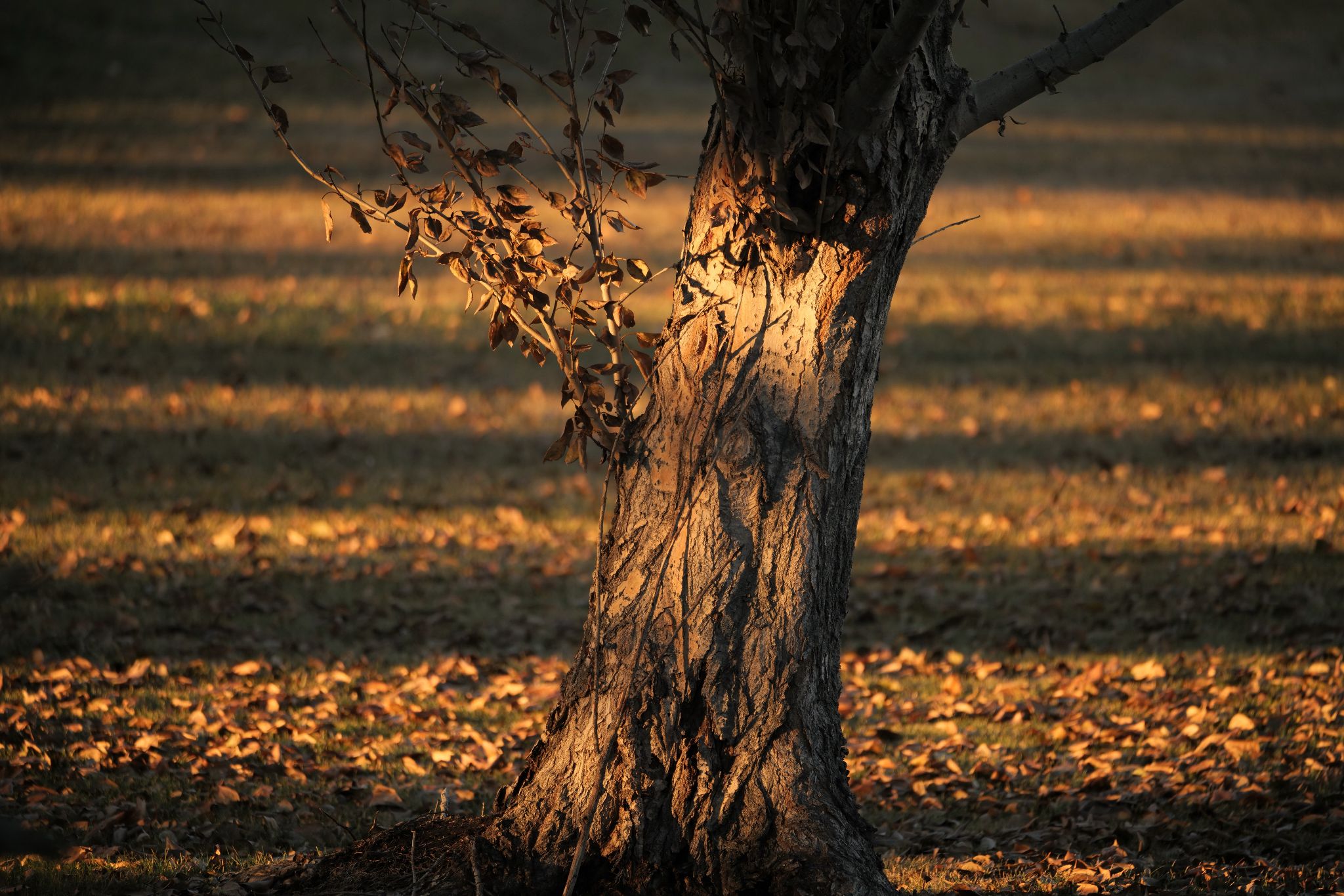 Community photo by Elmarie van Rooyen | Smoky Lake
