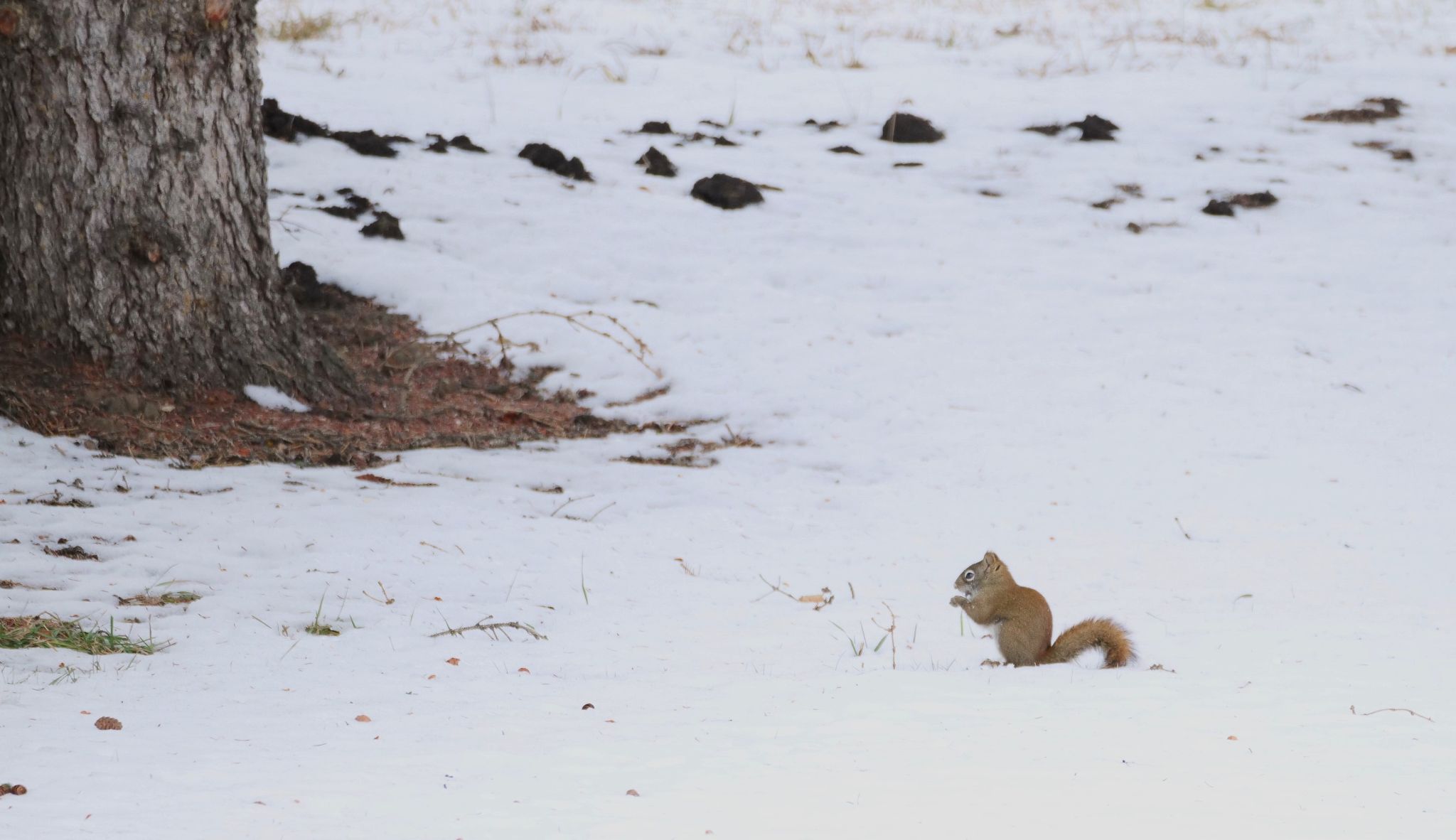 Community photo by Elmarie