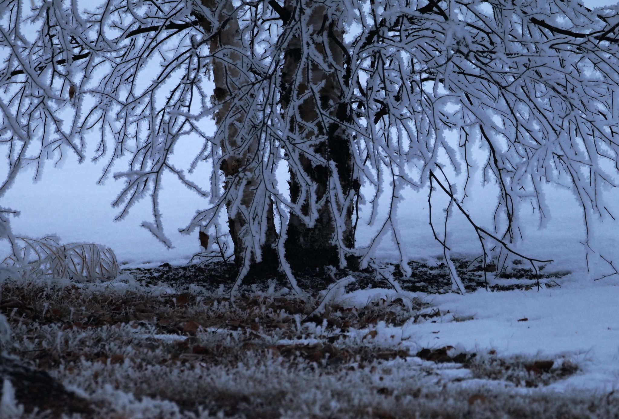 Community photo by Elmarie