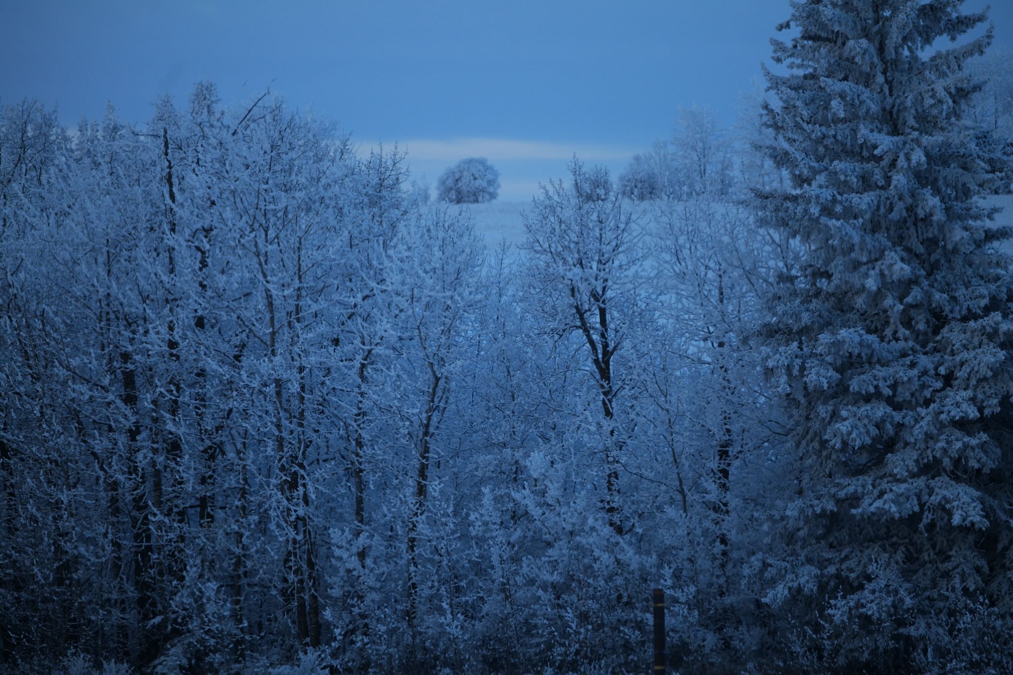 Community photo by Elmarie