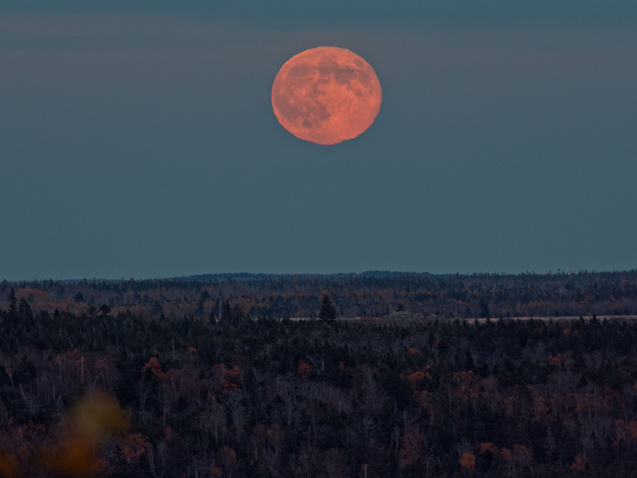 Community photo by Iaroslav