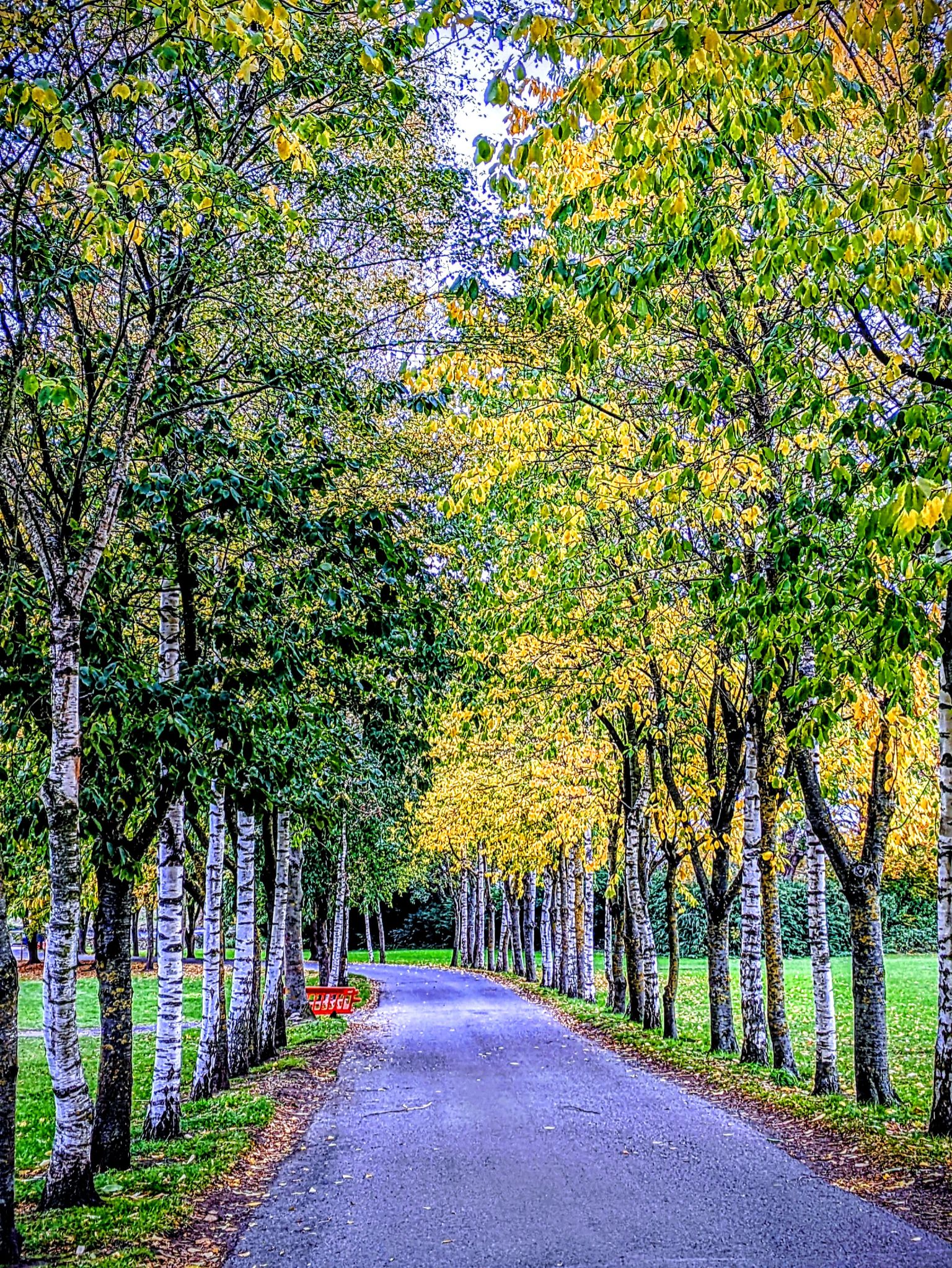 Community photo entitled Autumn colours. by Kevan Hubbard on 11/03/2025 at Corbridge,Northumberland ,England