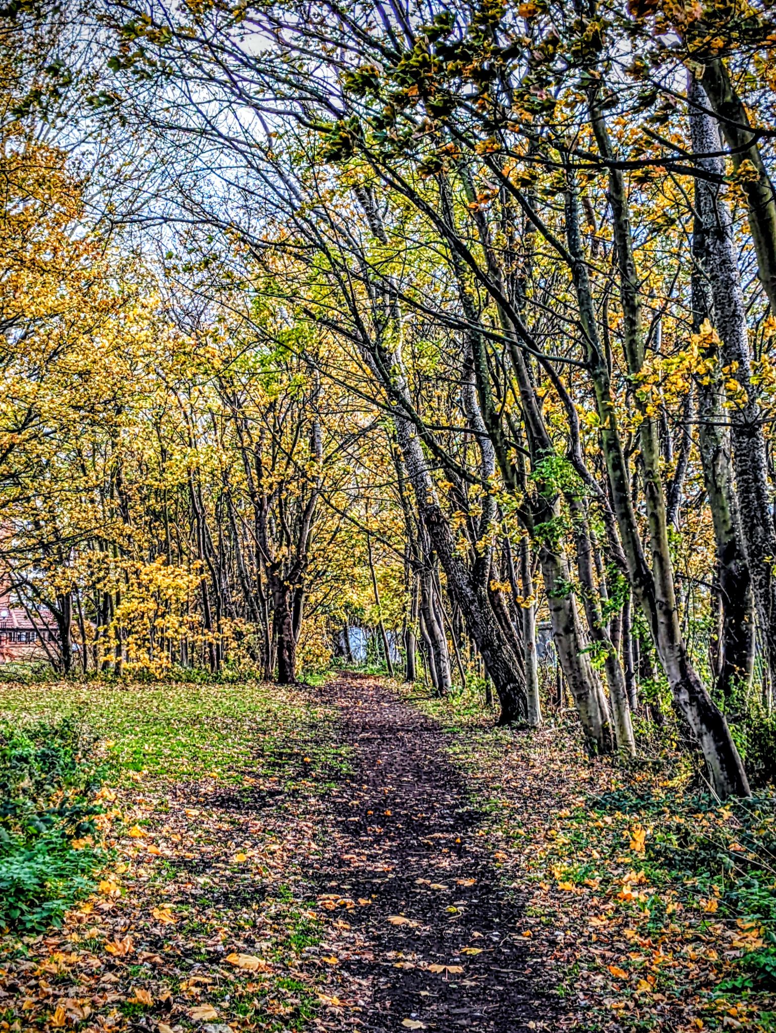 Community photo by Kevan