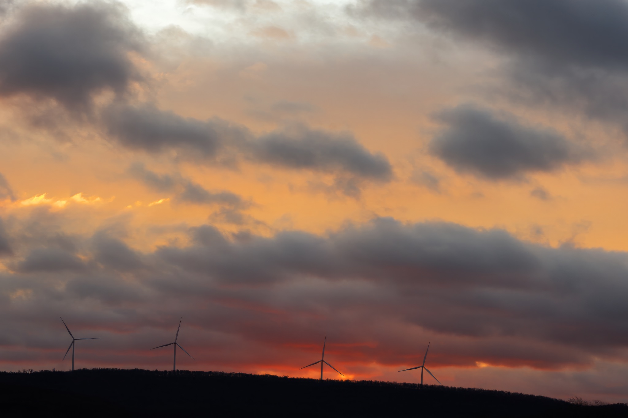 Community photo by Don