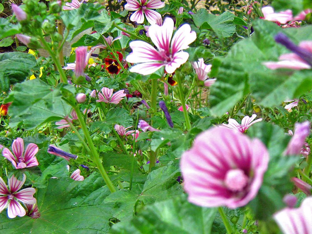Community photo by Hassan Dadashi  Arani | Esfahan. Iran
