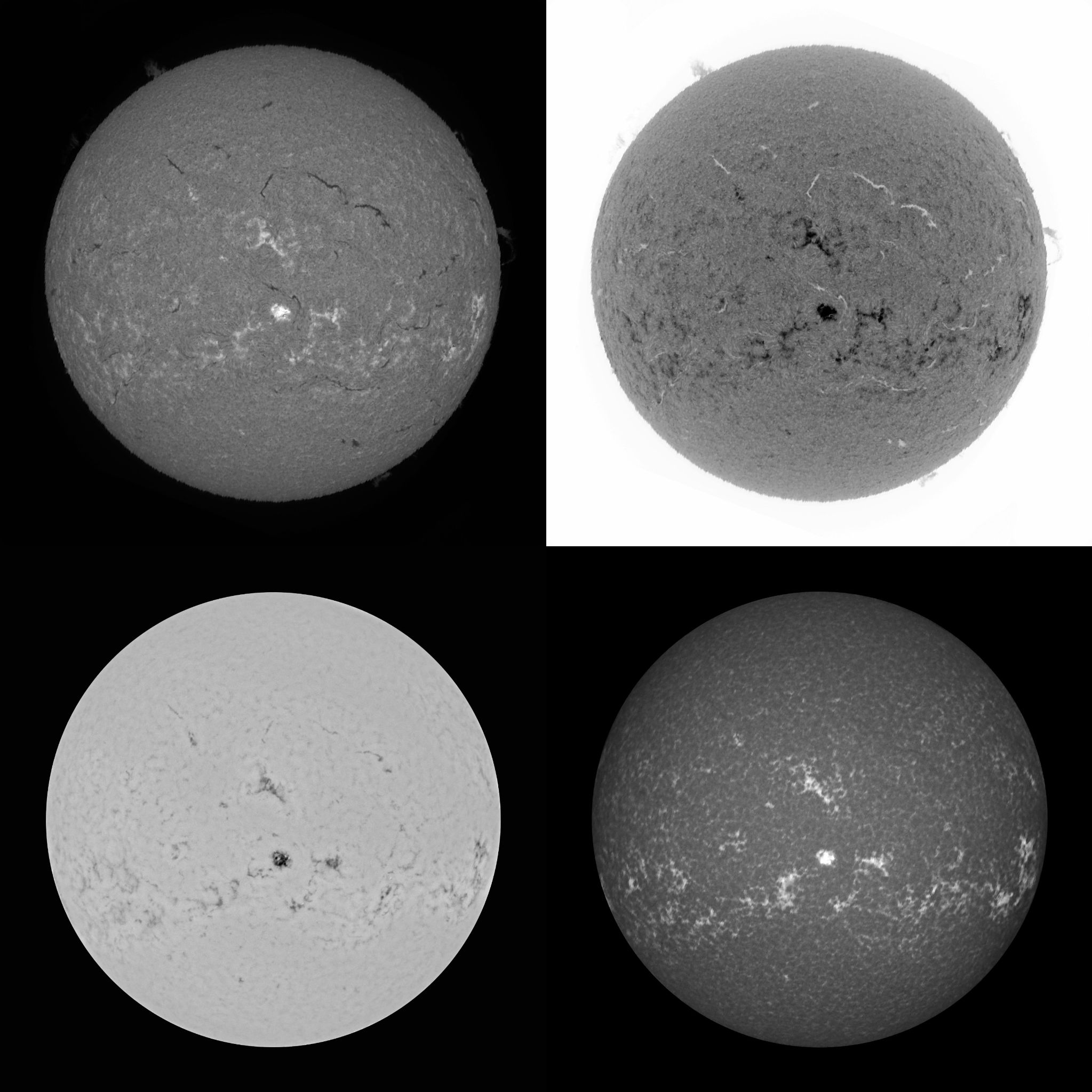 Community photo by Mario