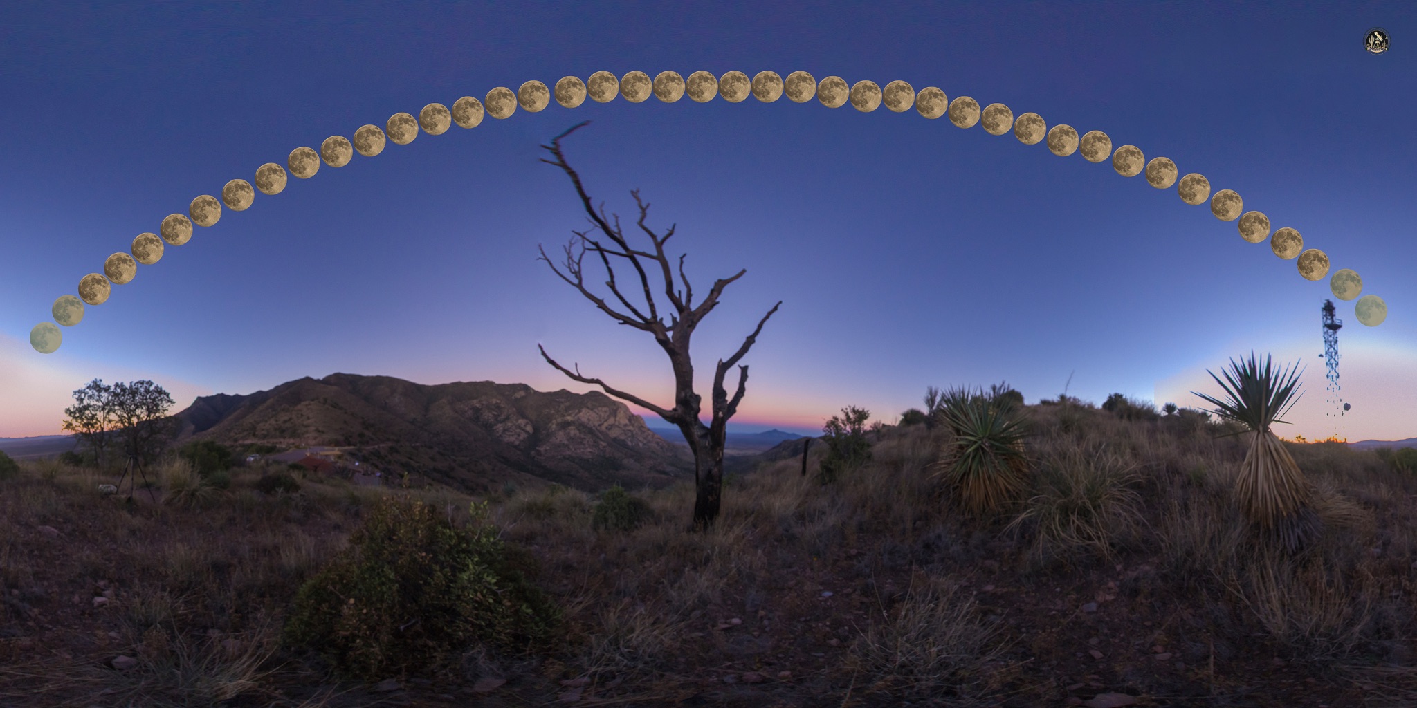 Community photo by Jelieta Walinski Ph.D | Montezuma Pass, AZ, USA