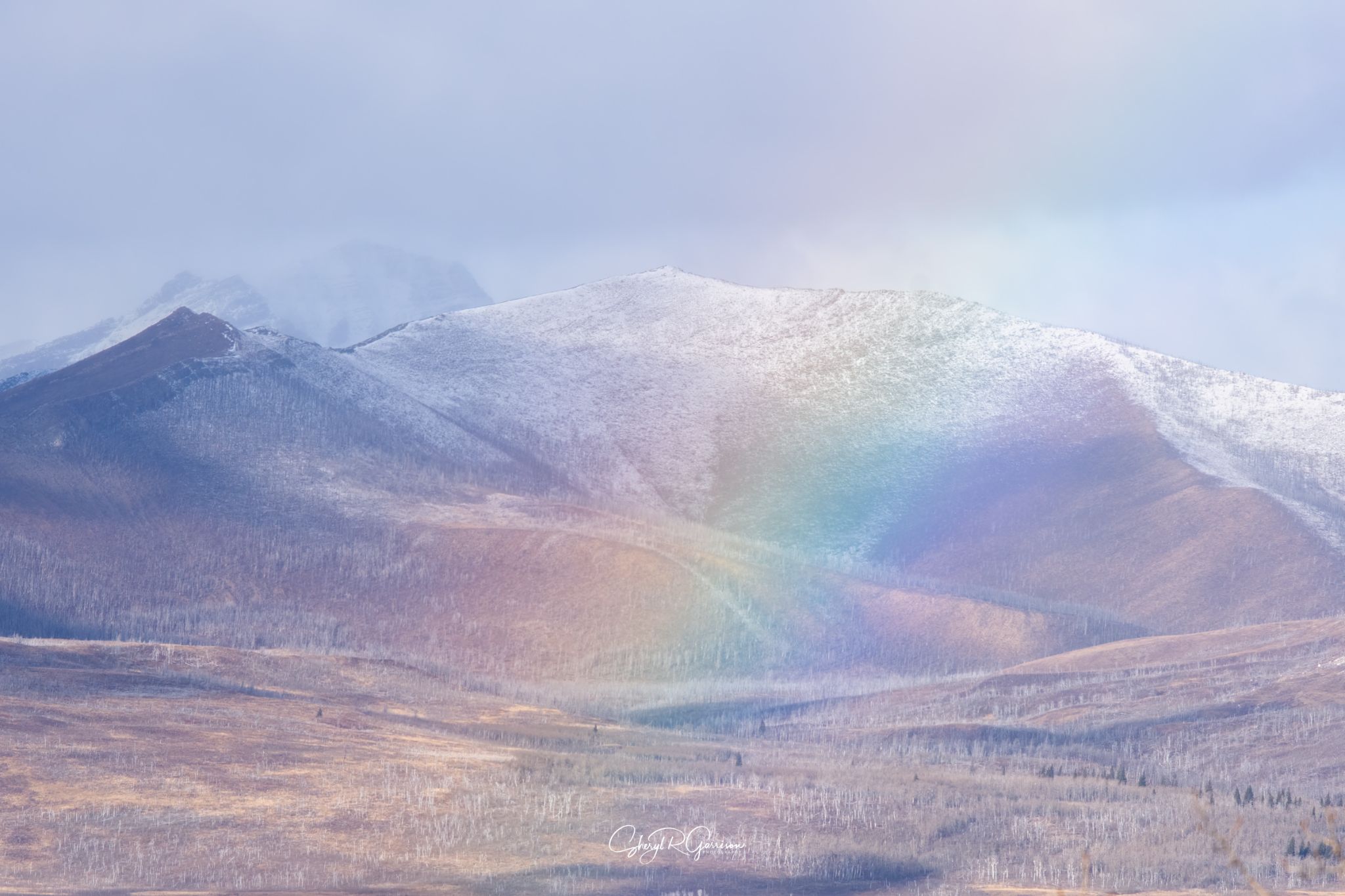 Community photo by Sheryl R Garrison | Waterton Lakes National Park, AB Canada
