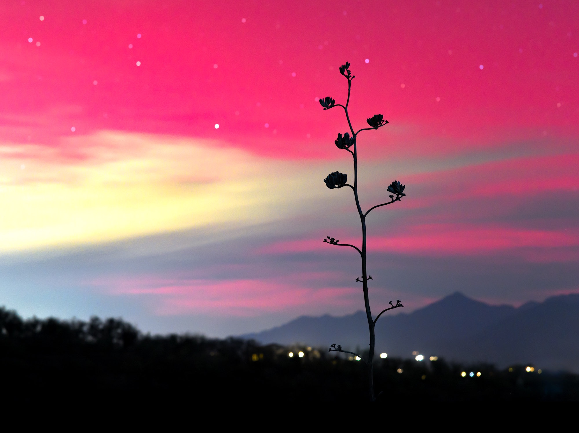 Community photo by John