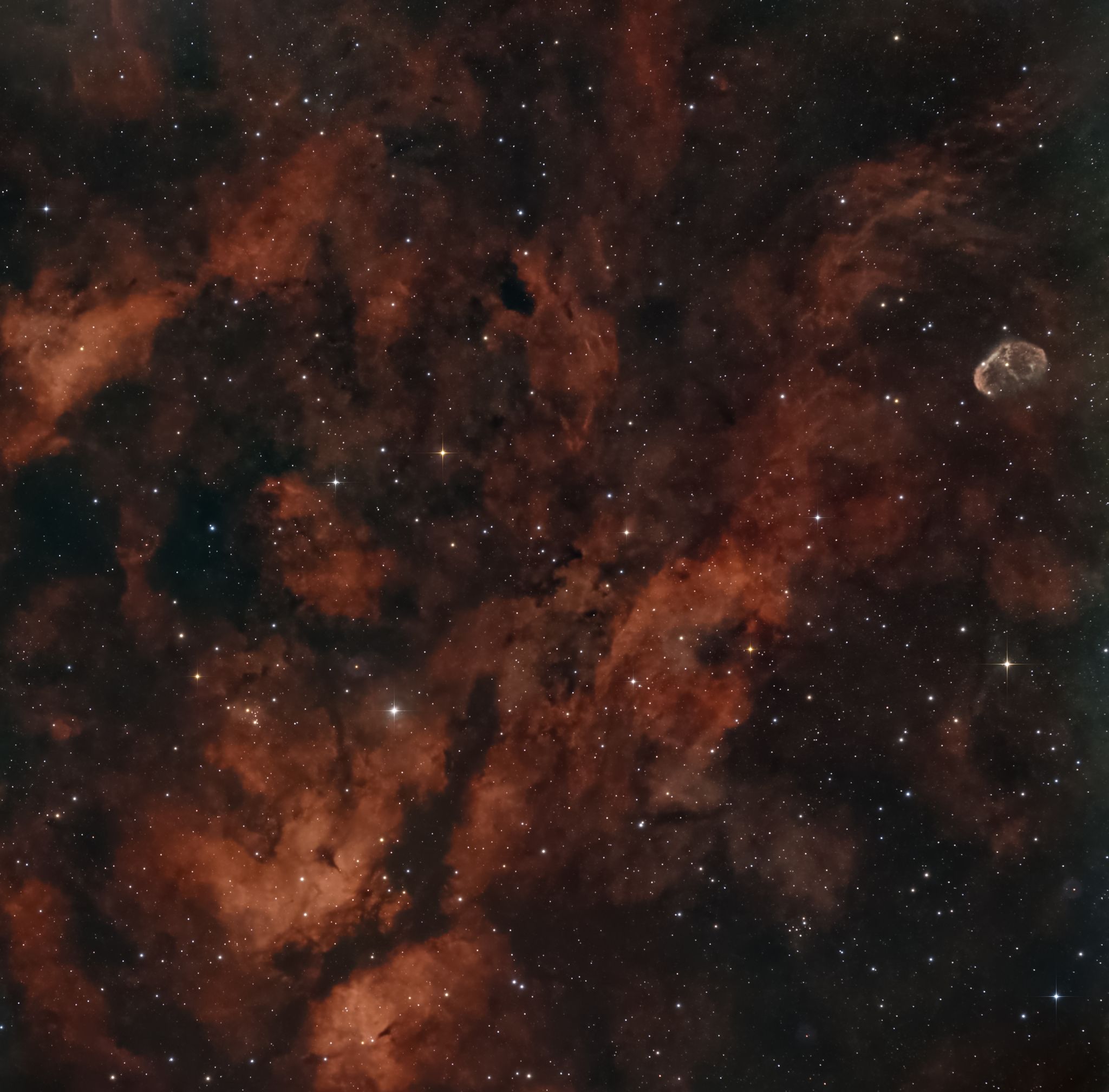 Community photo by AQUIB ALI ANSARI | JAIPUR, RAJASTHAN, INDIA