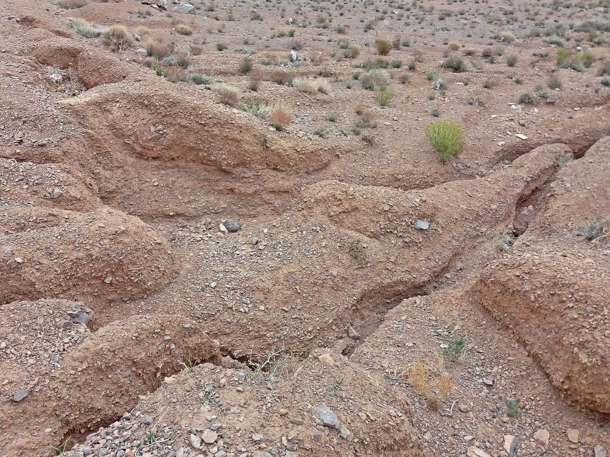 Community photo by Hassan