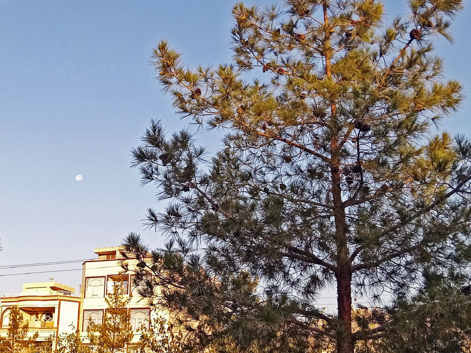 Community photo by Hassan