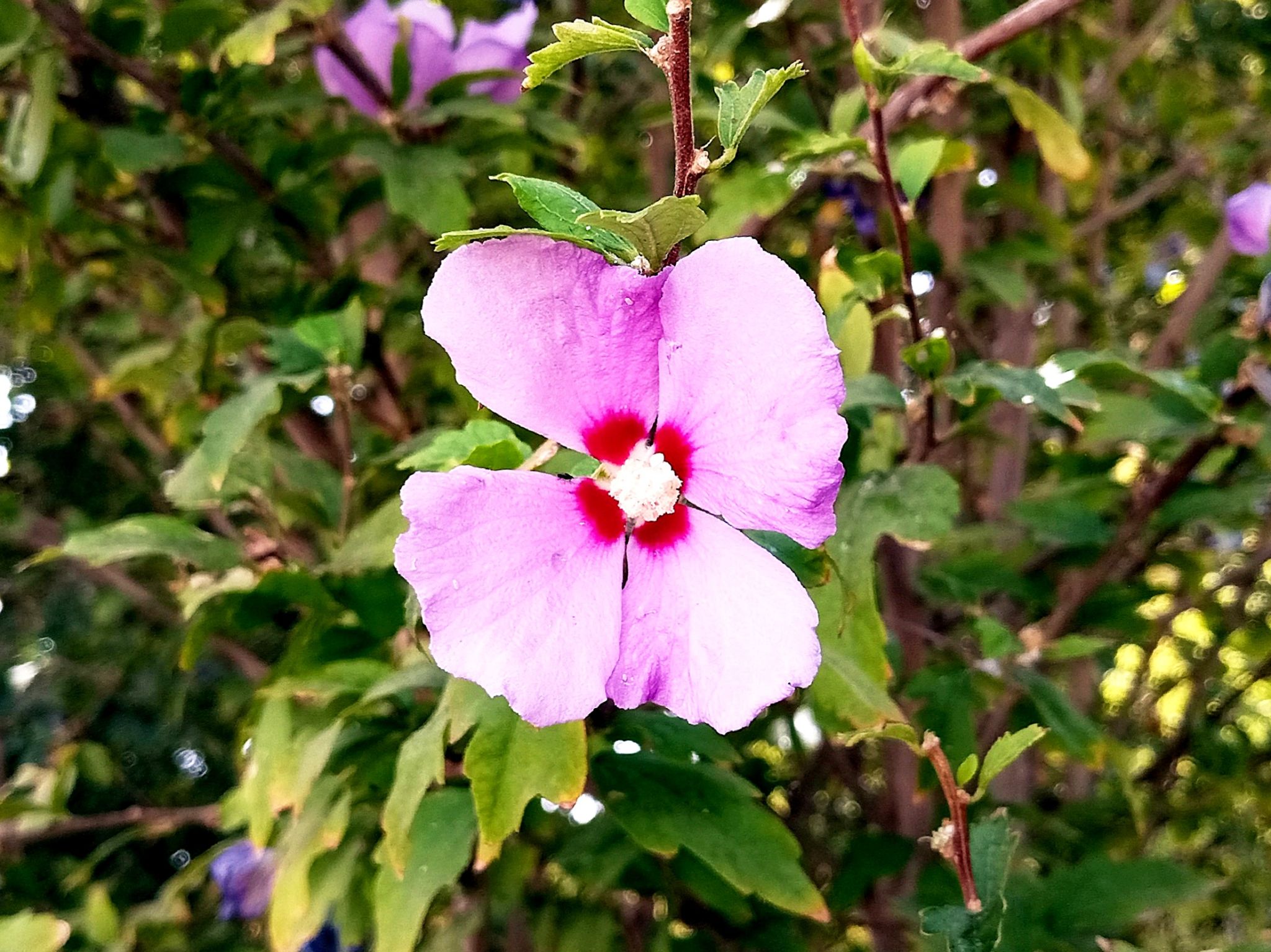 Community photo by Hassan