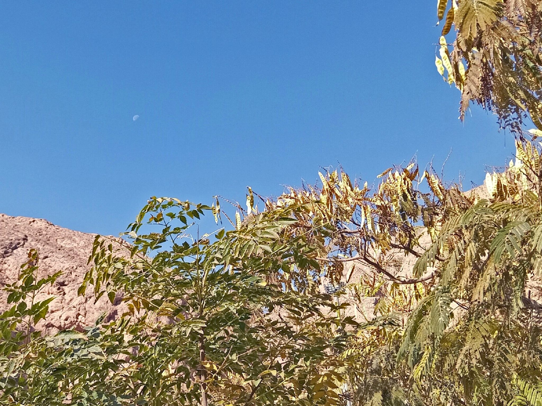 Community photo by Hassan