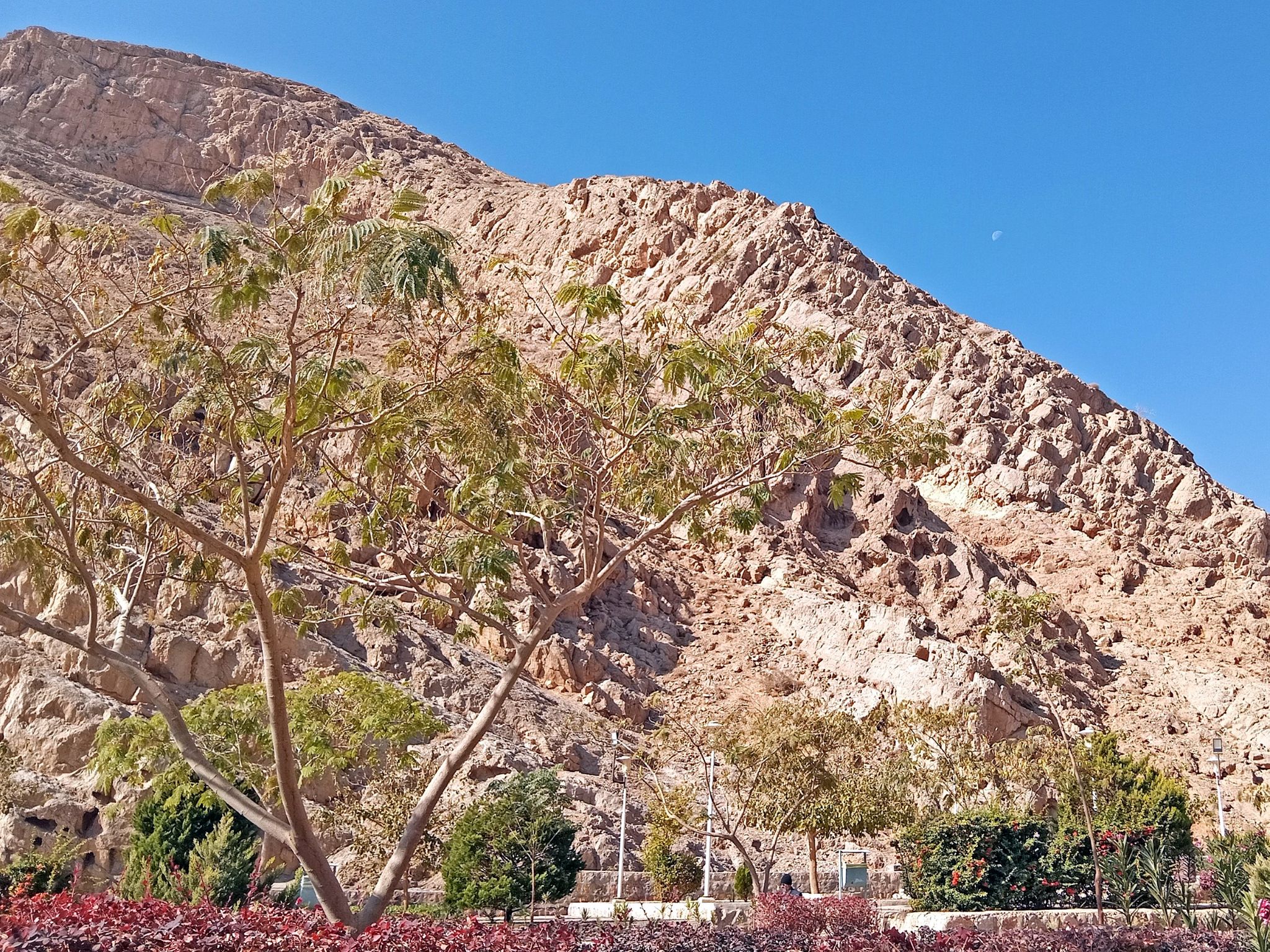 Community photo by Hassan