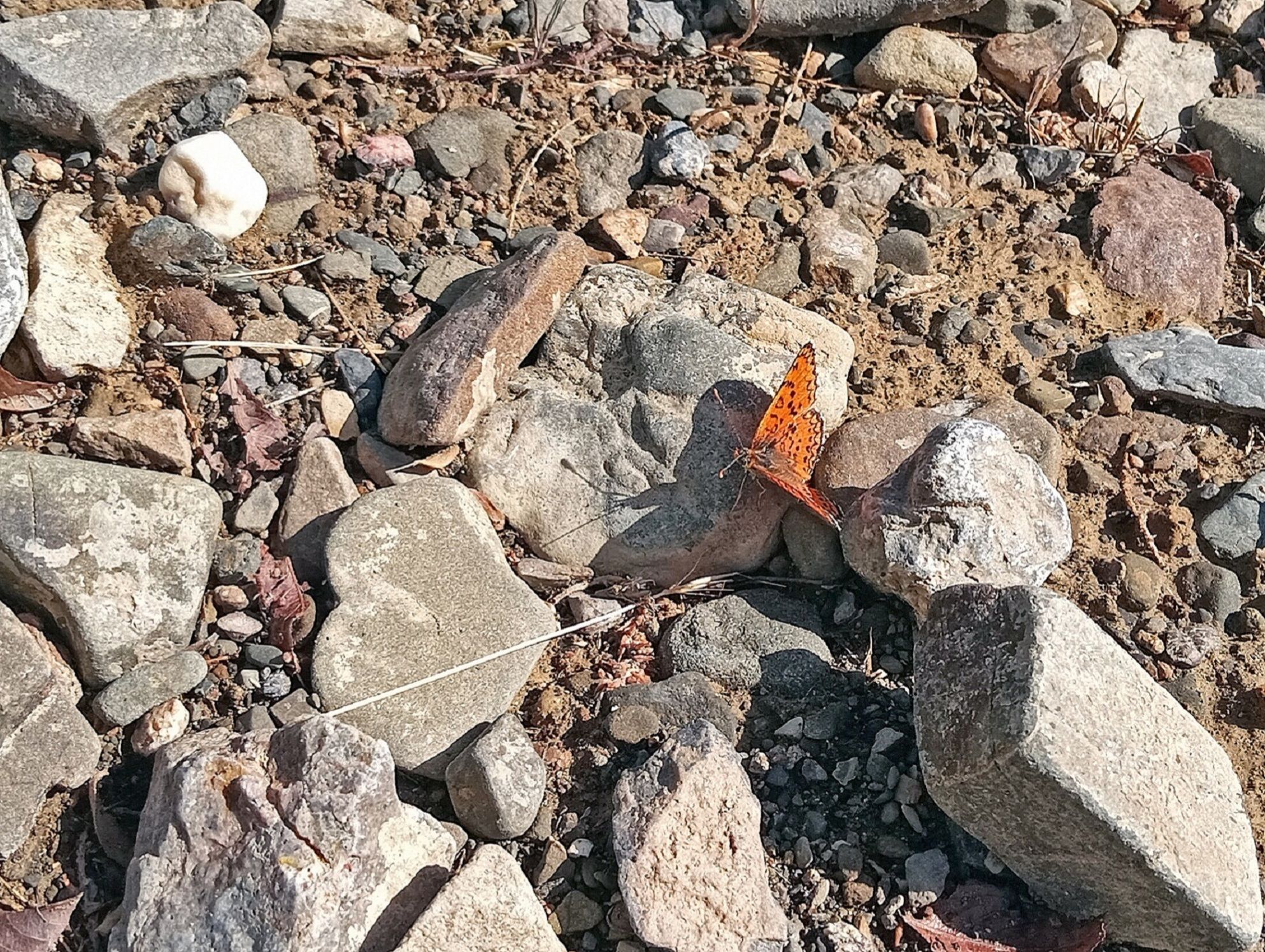 Community photo by Hassan Dadashi  Arani | Esfahan province. Iran