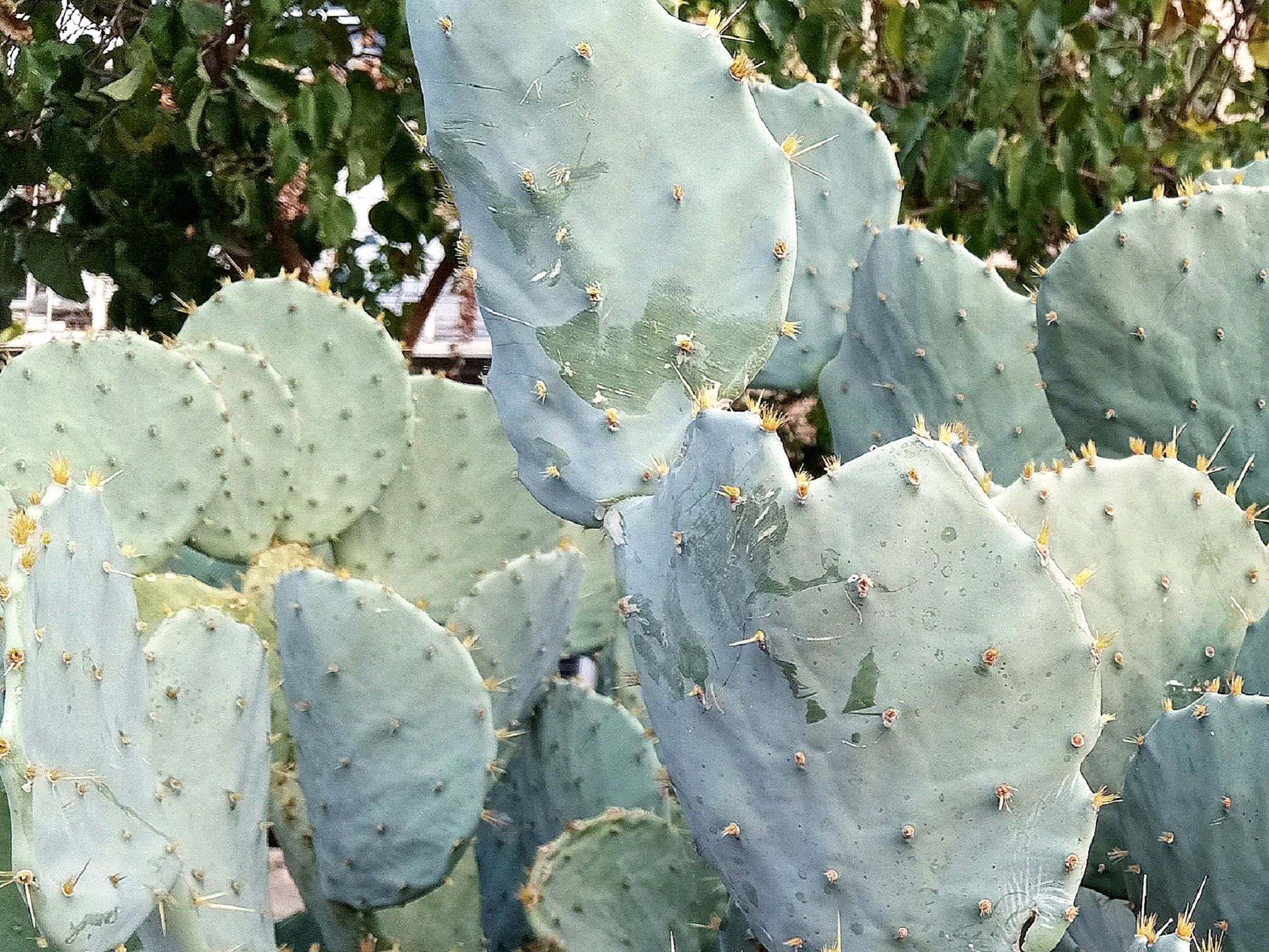 Community photo by Hassan Dadashi  Arani | Esfahan province. Iran