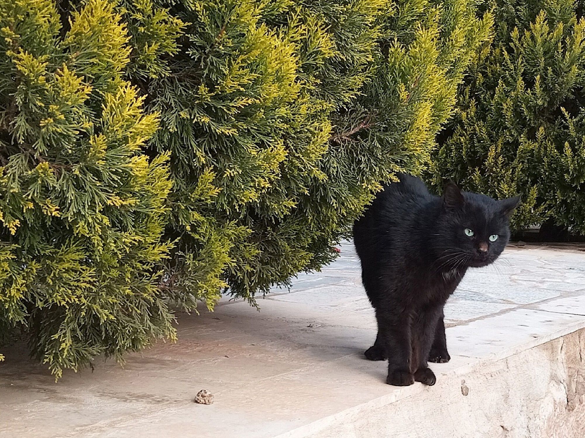 Community photo by Hassan