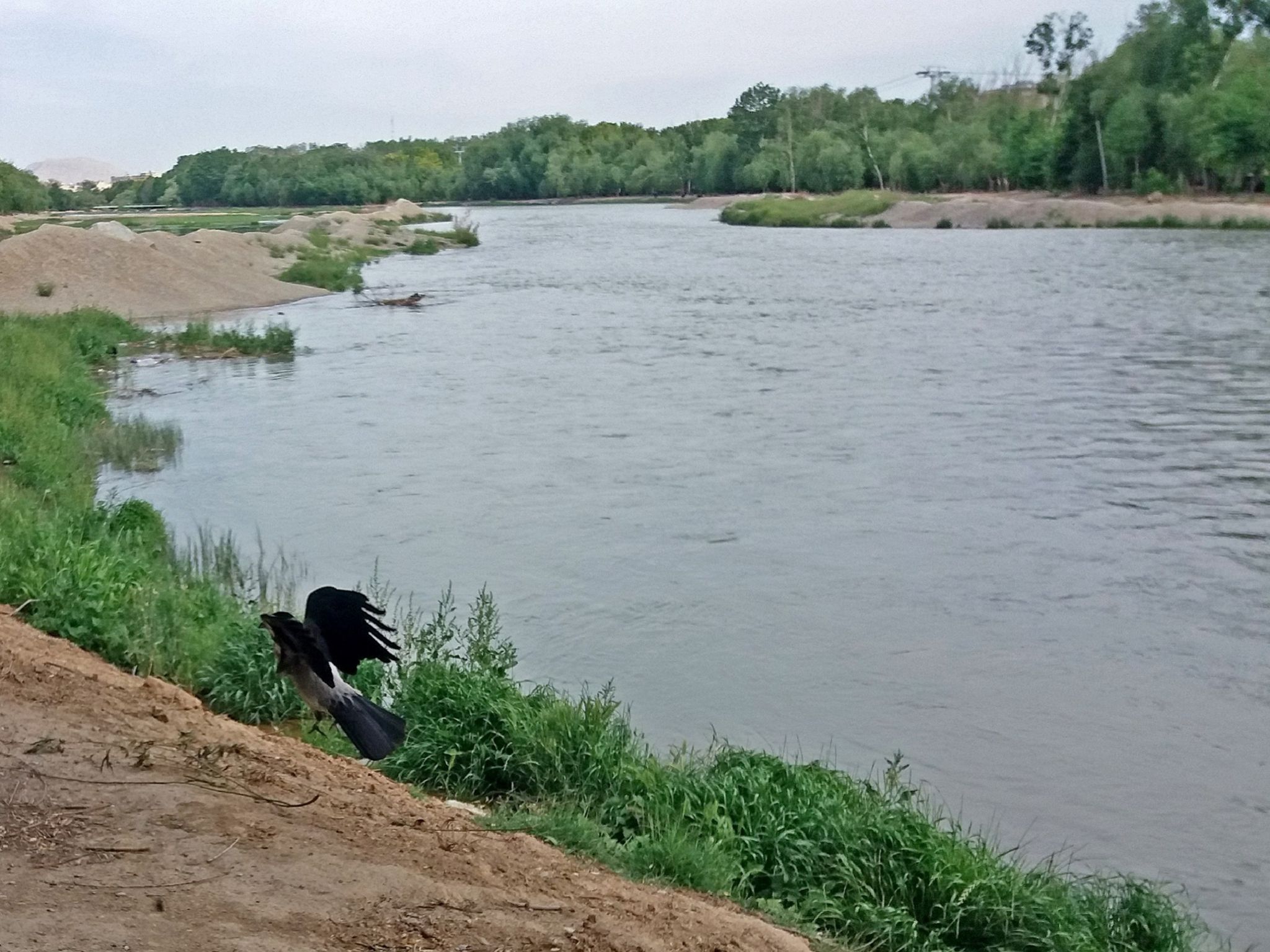 Community photo by Hassan