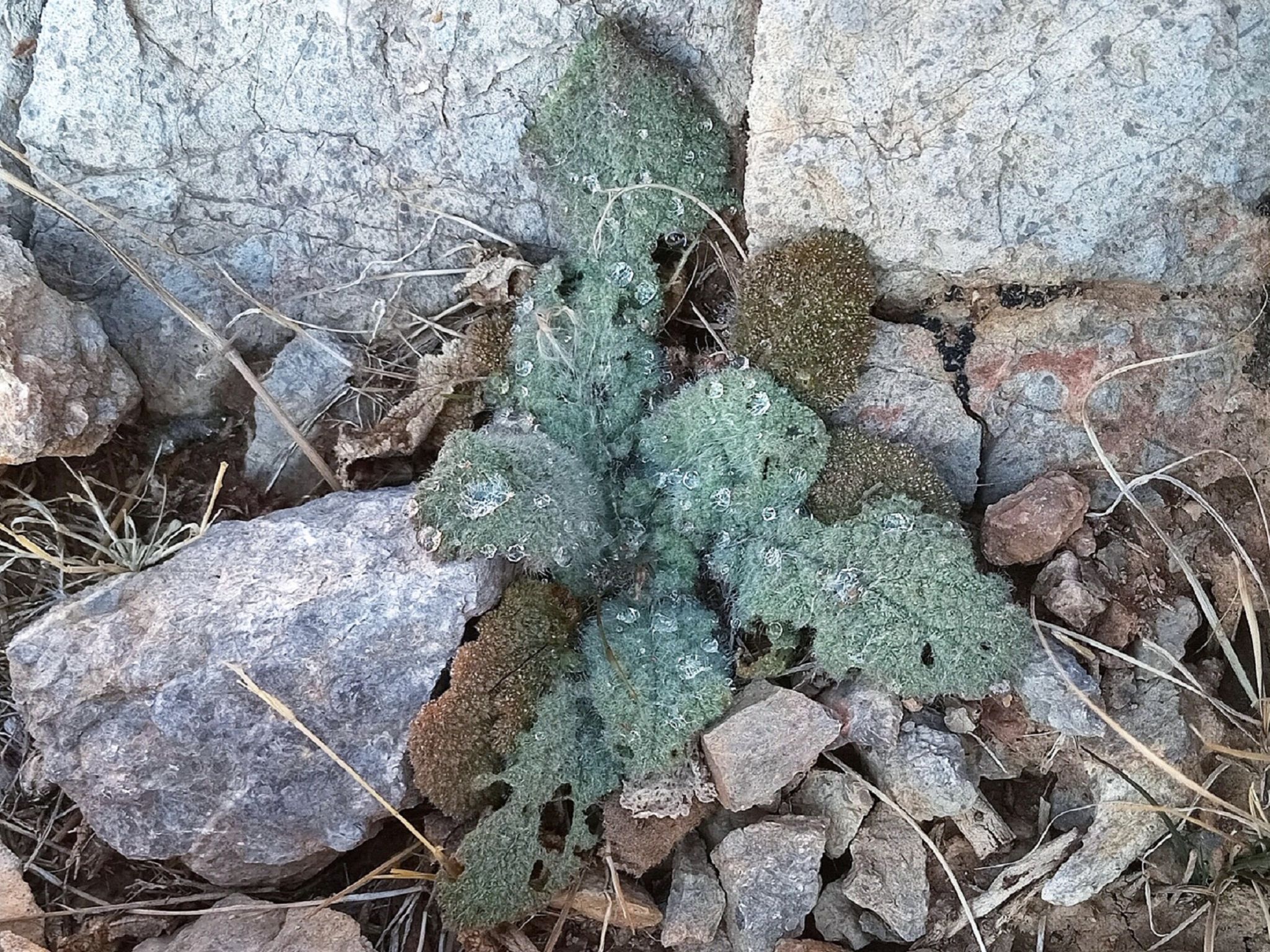Community photo by Hassan Dadashi  Arani | Esfahan province. Iran