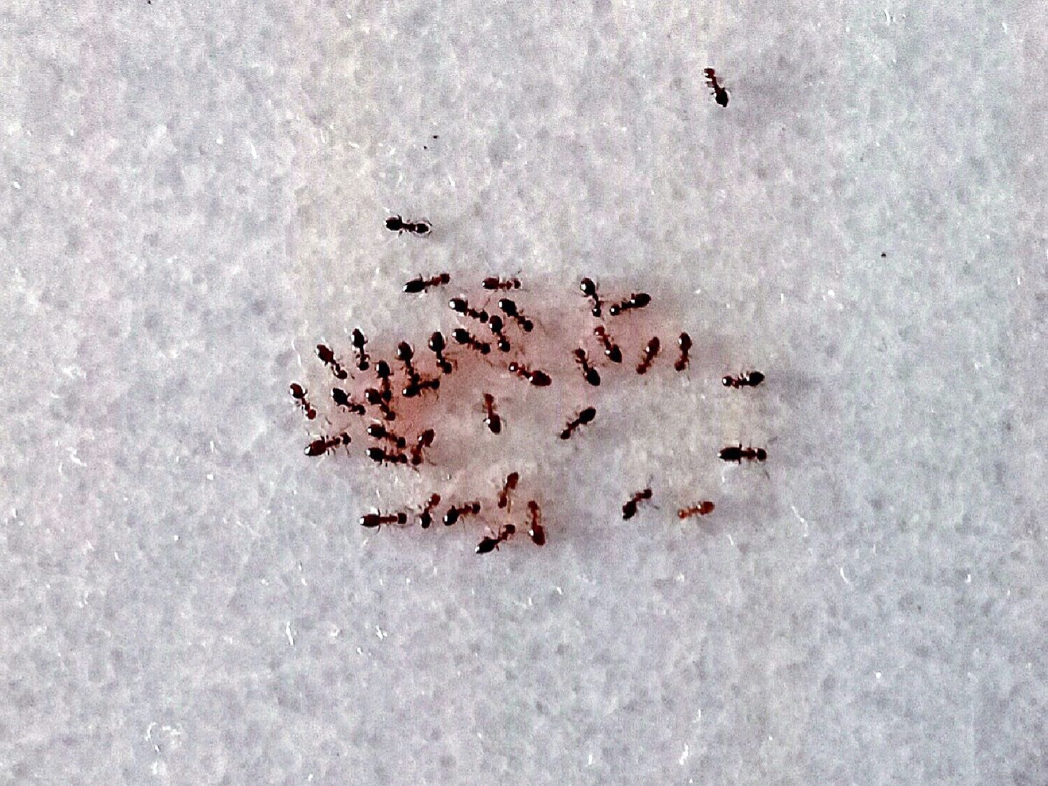 Community photo by Hassan