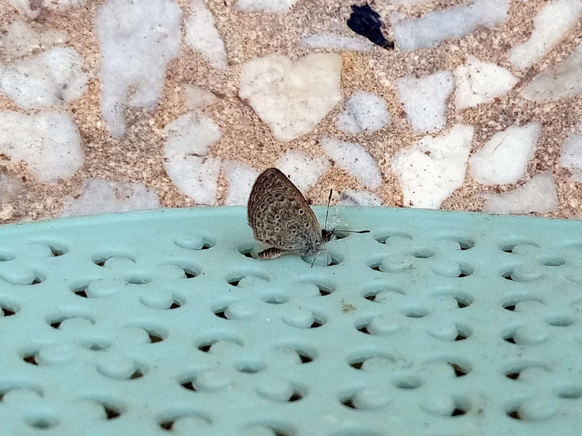 Community photo by Hassan