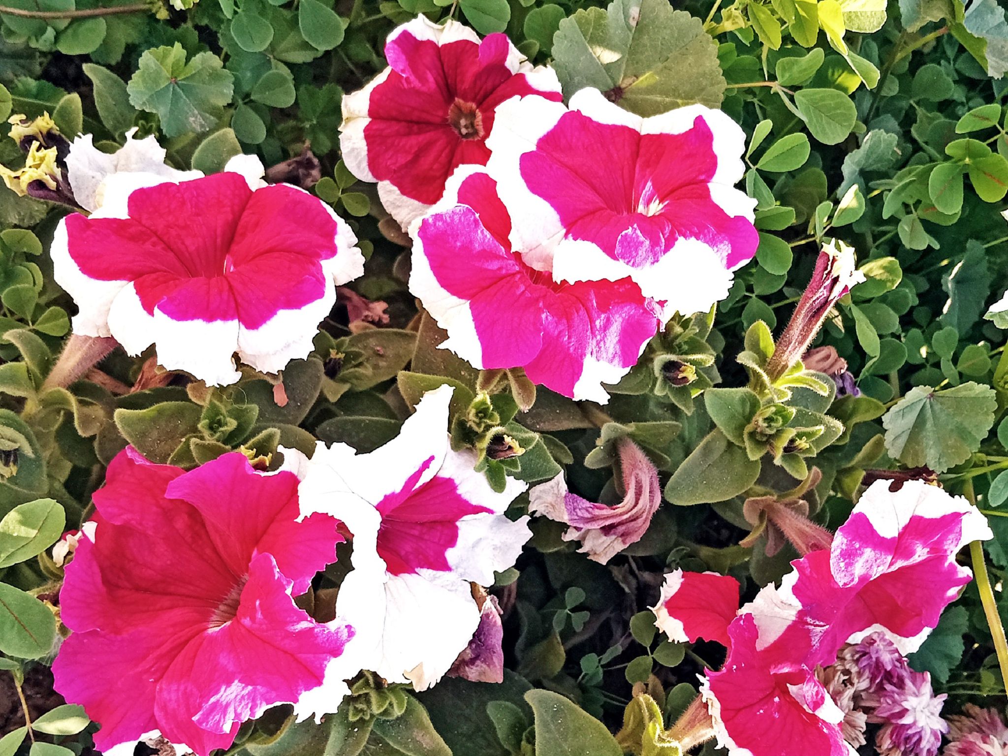 Community photo by Hassan Dadashi  Arani | Esfahan province. Iran