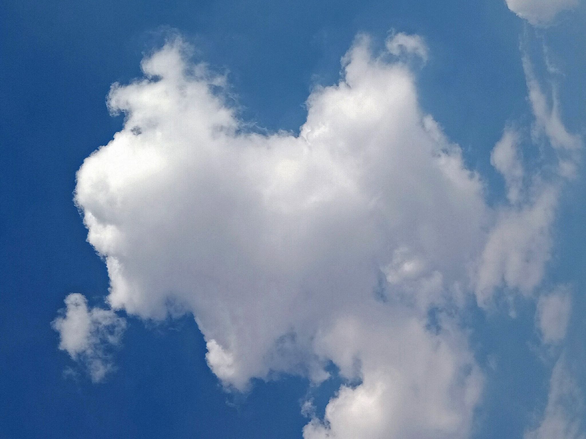 Community photo by Hassan