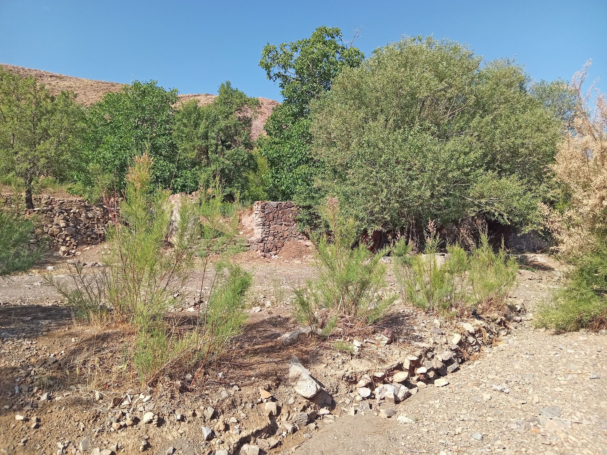 Community photo by Hassan Dadashi  Arani | Esfahan province. Iran