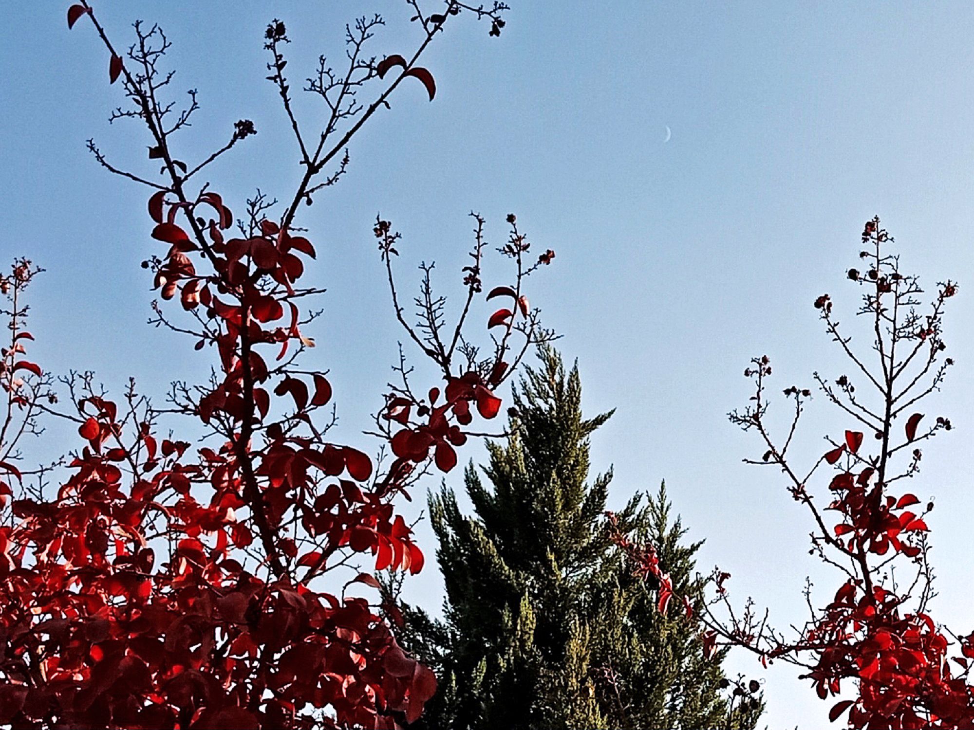 Community photo by Hassan