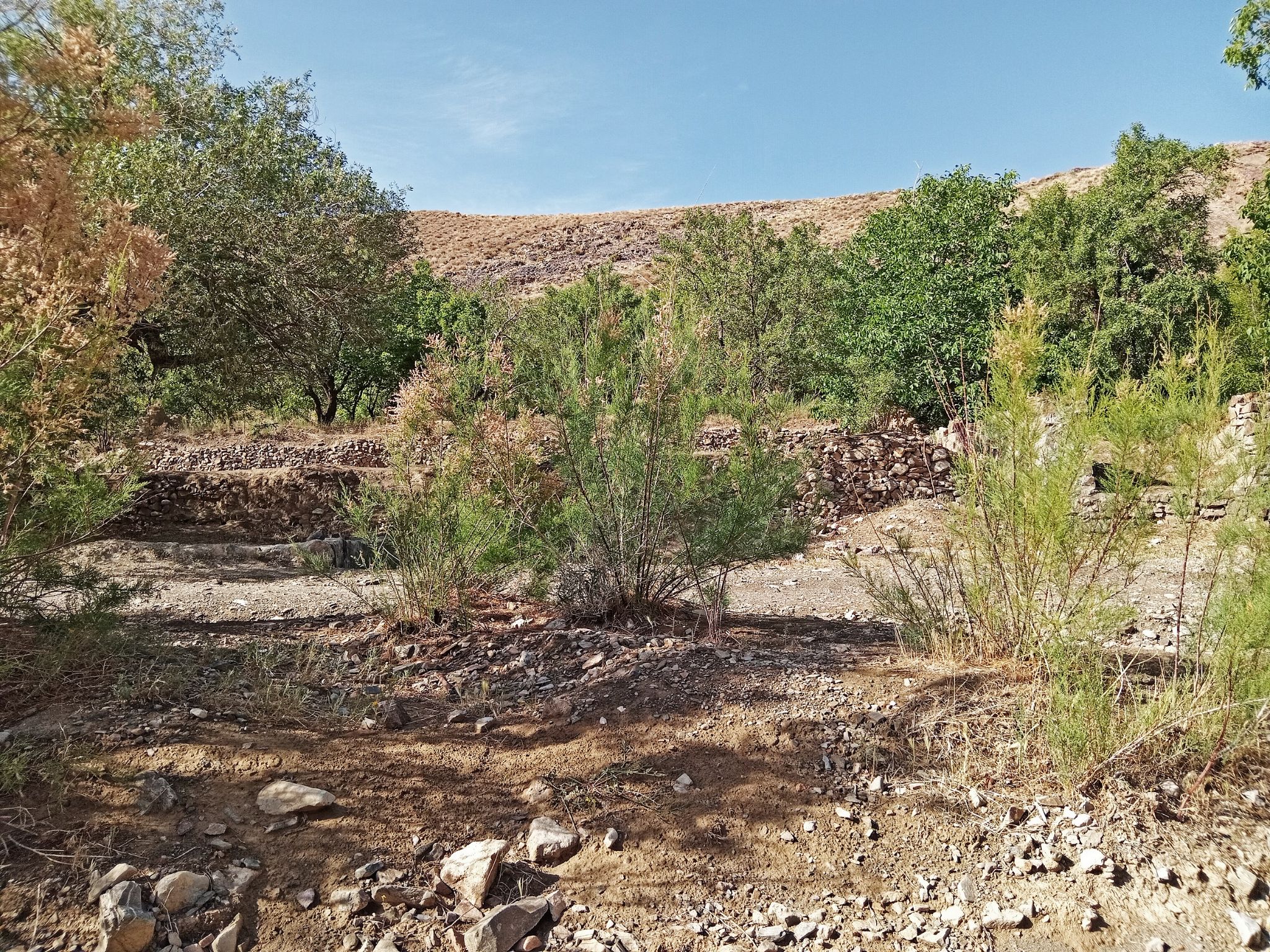 Community photo by Hassan