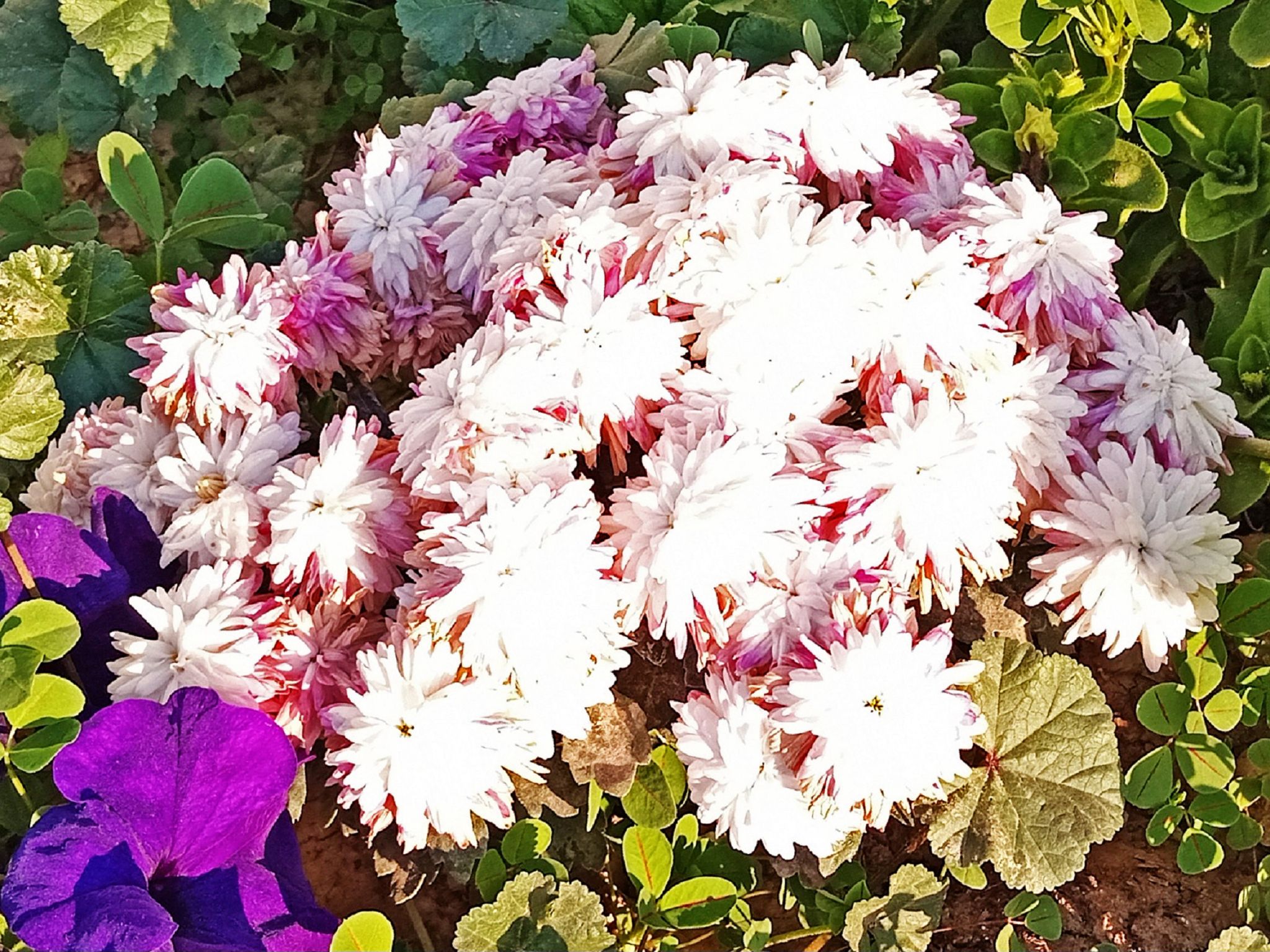 Community photo by Hassan