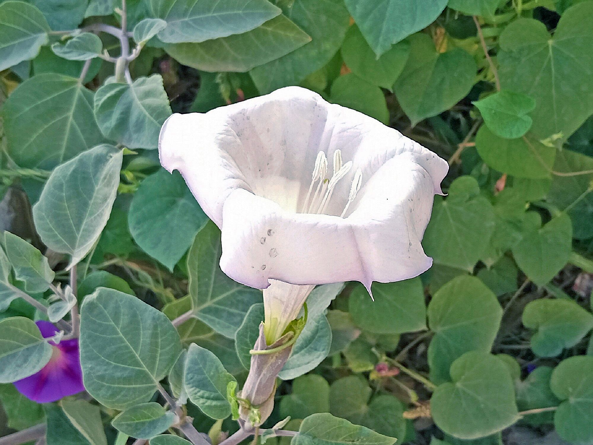 Community photo by Hassan