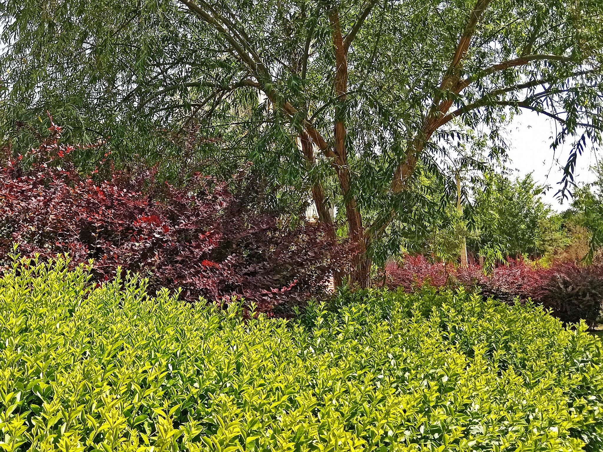 Community photo by Hassan