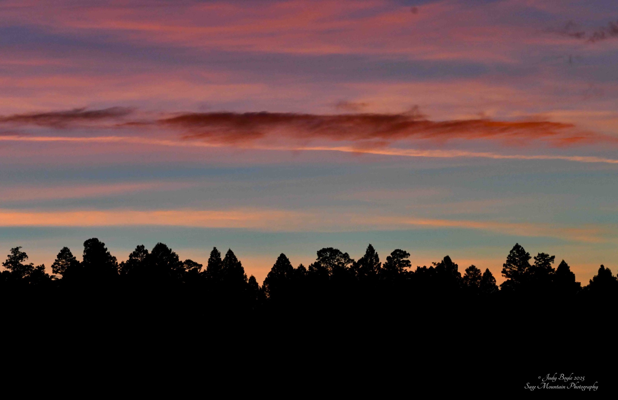Community photo by Judy Boyle | Whitehall, MT USA