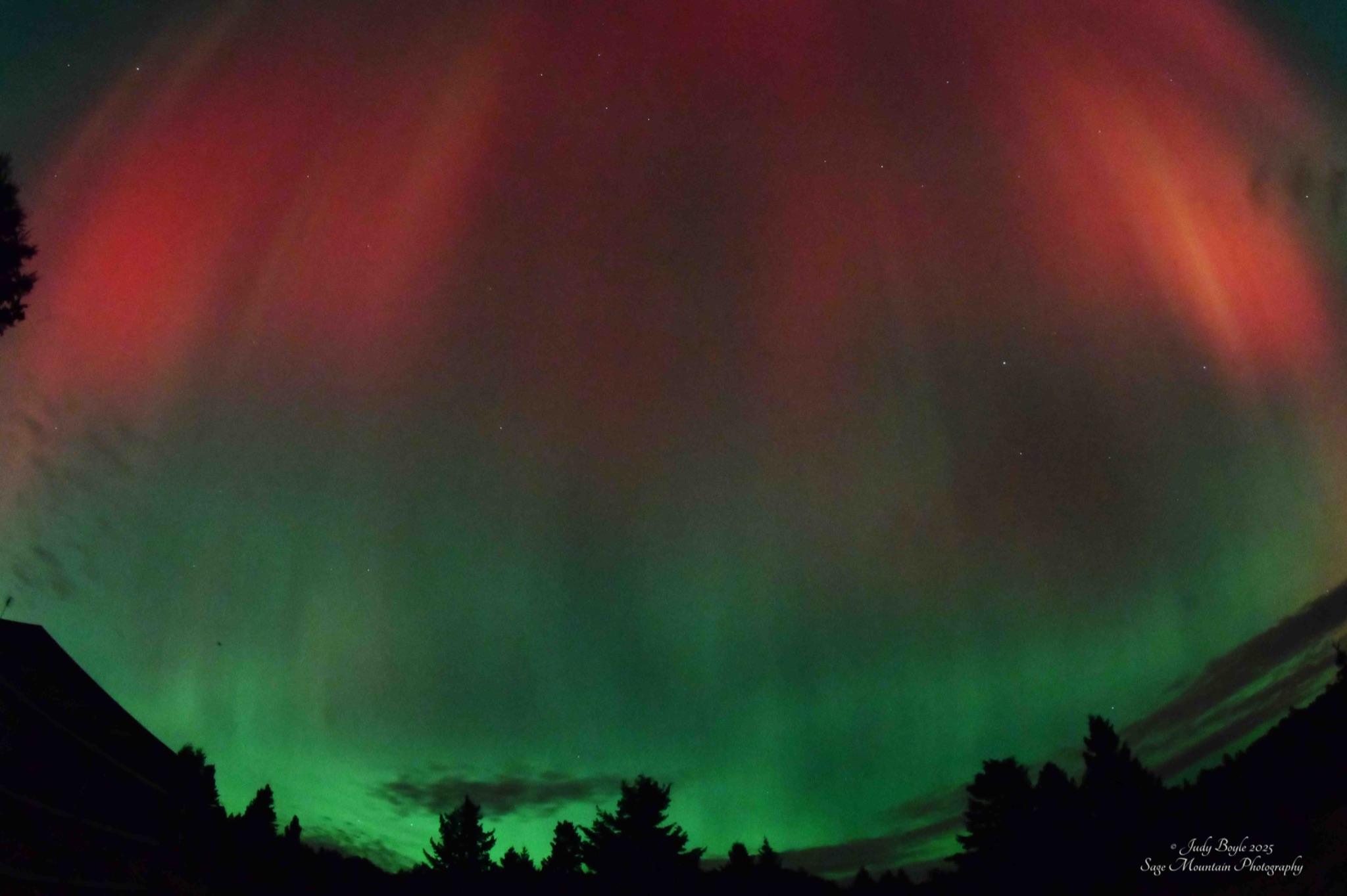 Community photo by Judy Boyle | Whitehall, MT USA