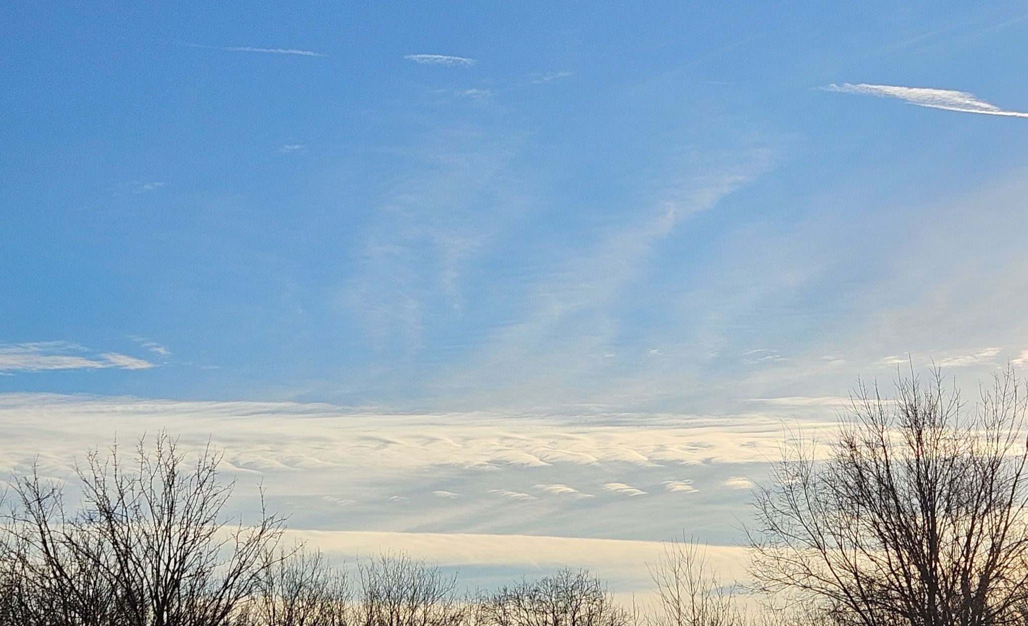 Community photo by Lynn