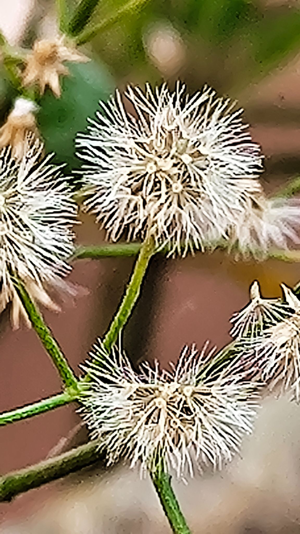 Community photo by Harsha Jetley | Vadodara, Gujarat, India