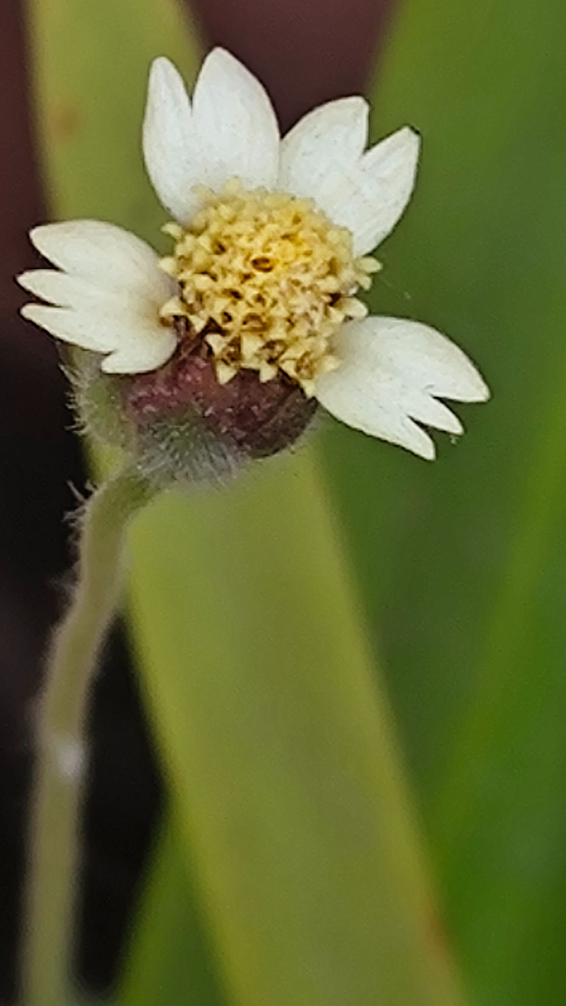 Community photo by Harsha