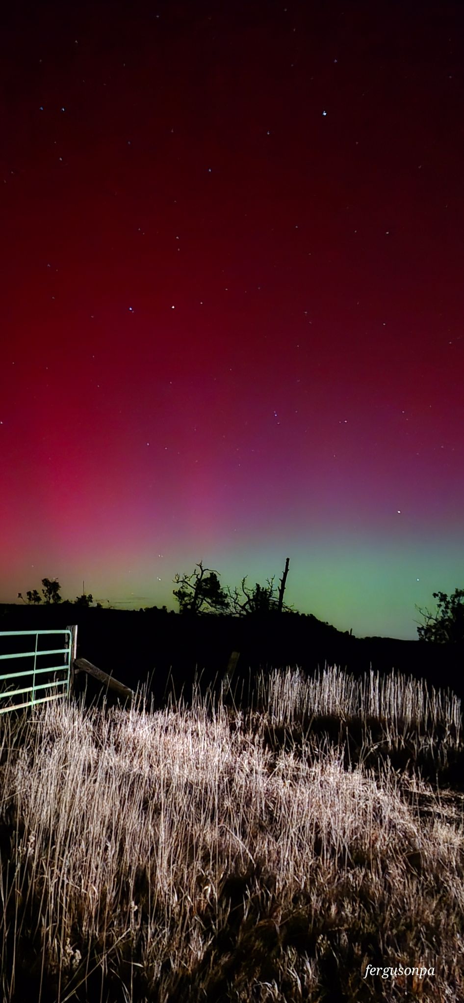 Community photo by Pattie