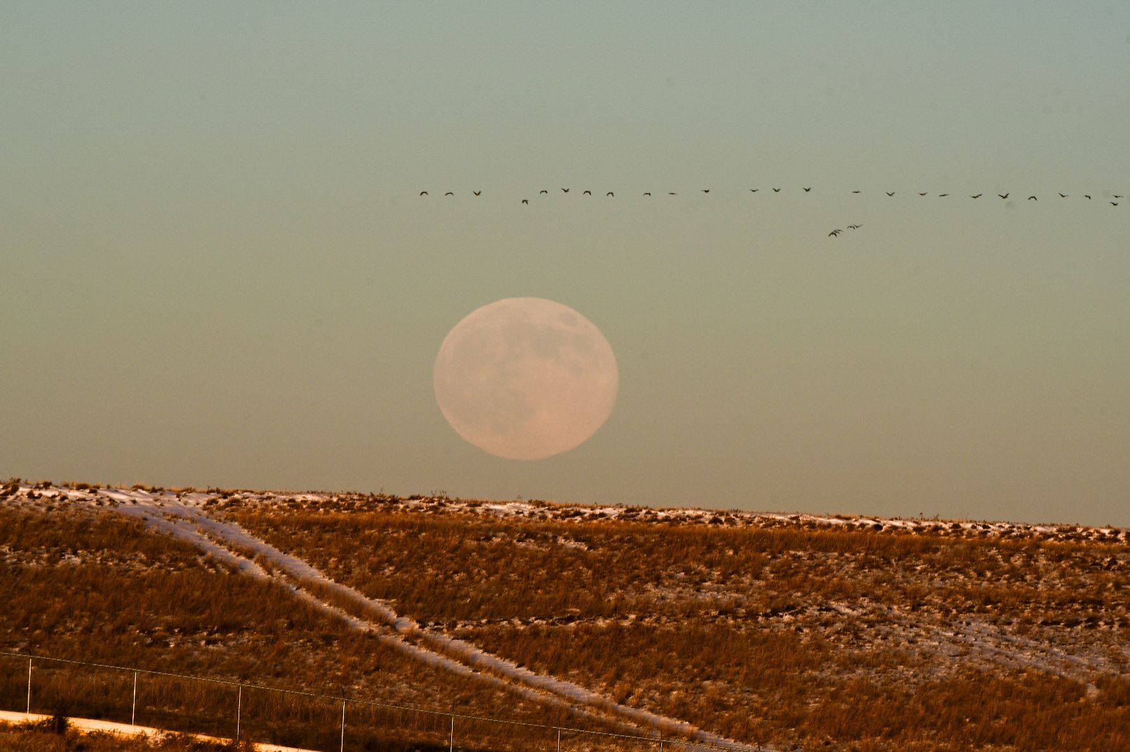 Community photo by Allison