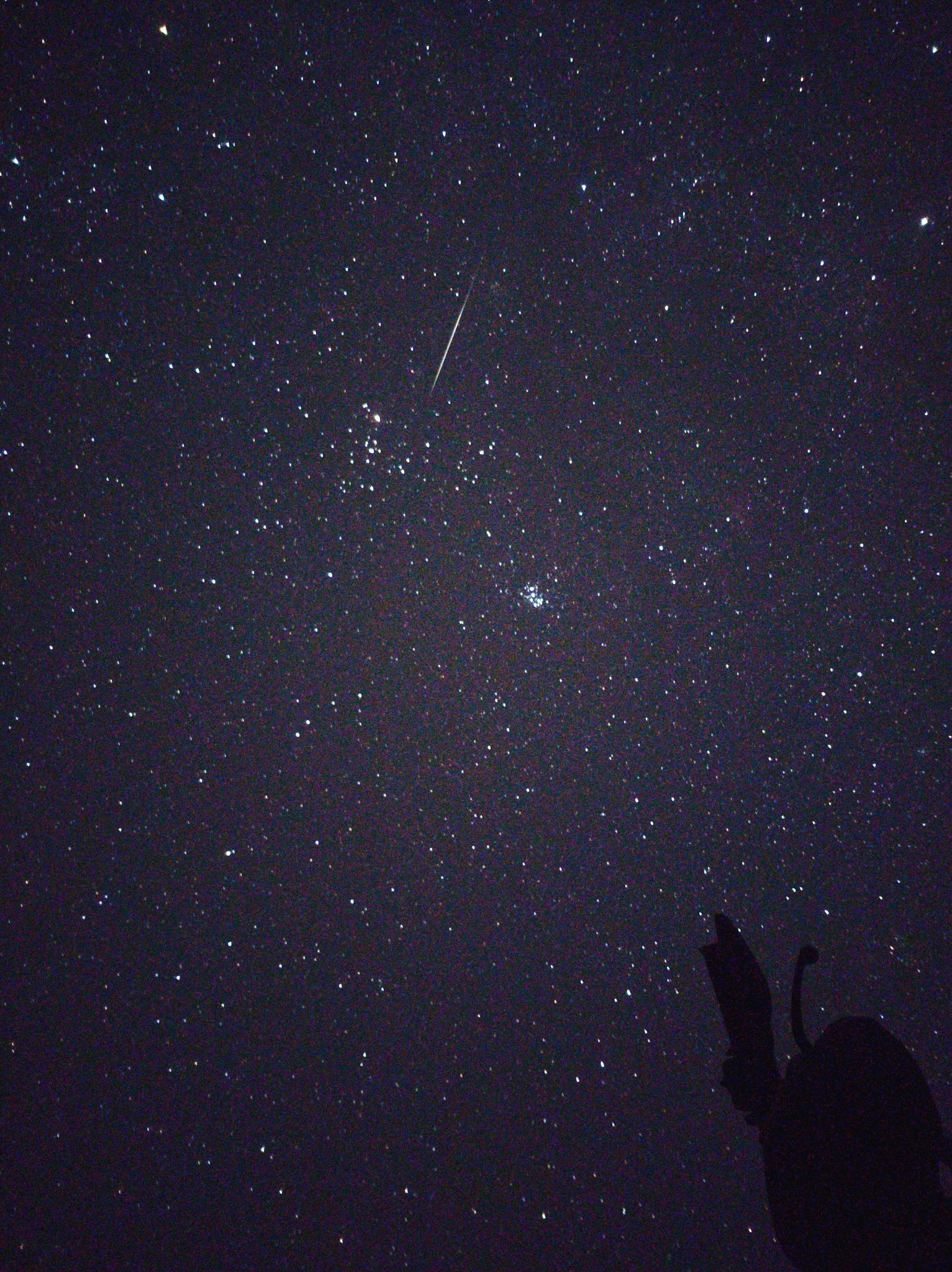 Community photo by AMAR PAL