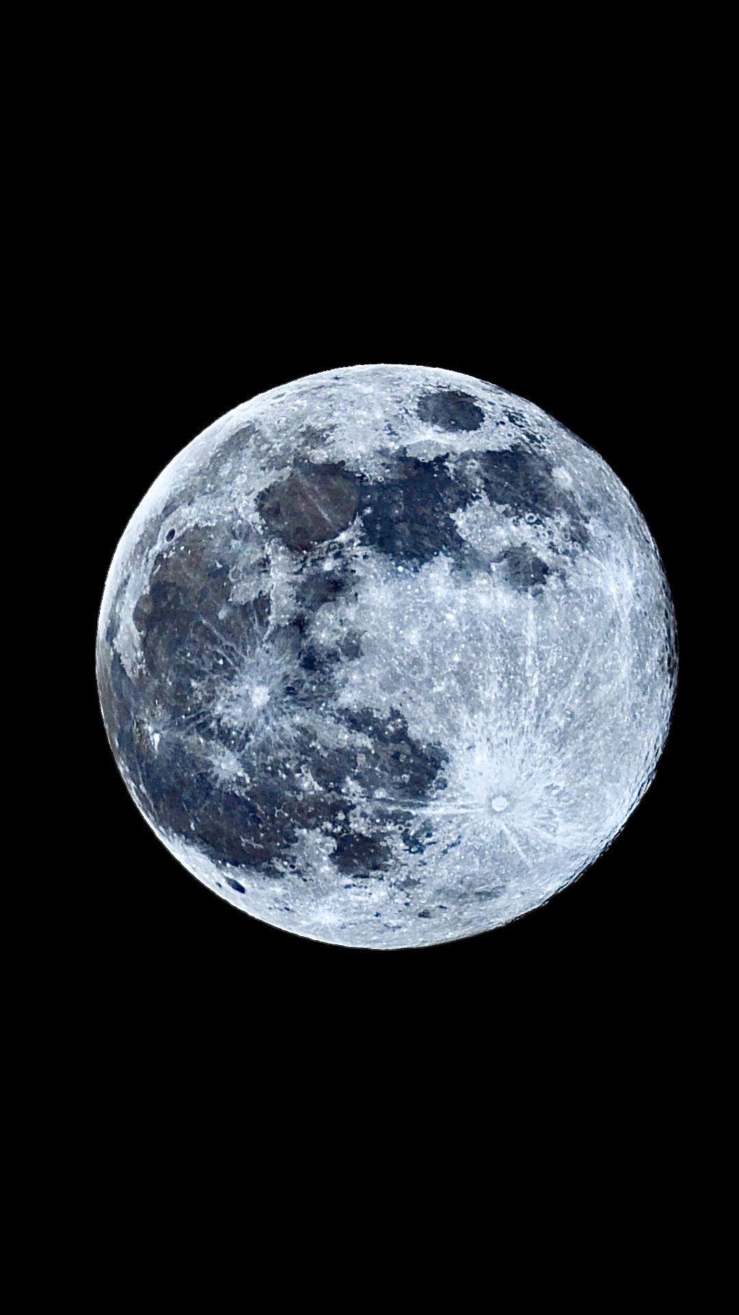 Community photo by Stephen Montag | Livingston, N.J.