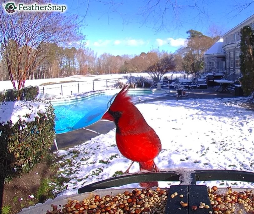 Community photo by Mark