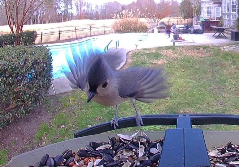 Community photo by Mark