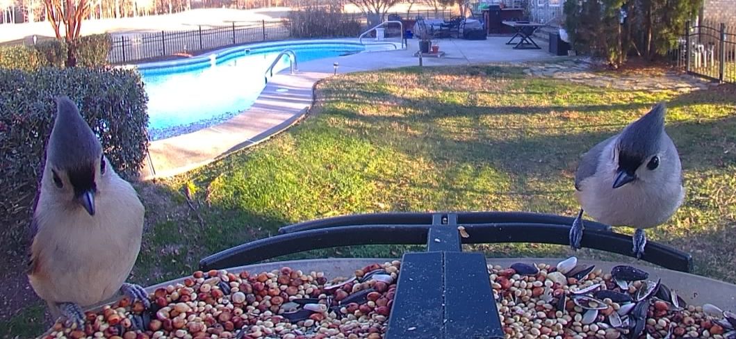 Community photo by Mark Wralstad | Virginia Beach, VA, USA