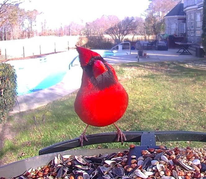 Community photo by Mark Wralstad | Virginia Beach, VA, USA