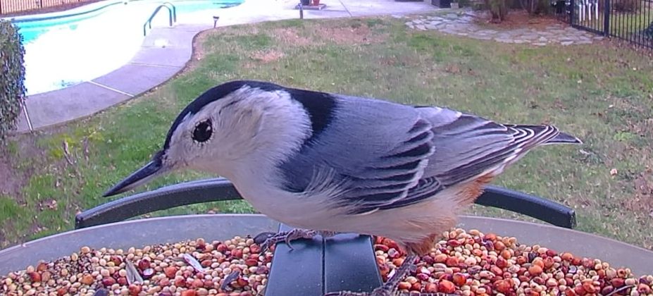 Community photo by Mark